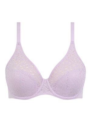 C13F10 027 MAUVE