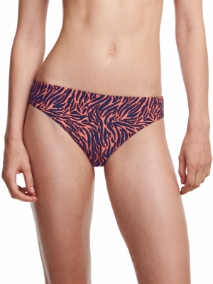 0NU ZEBRA