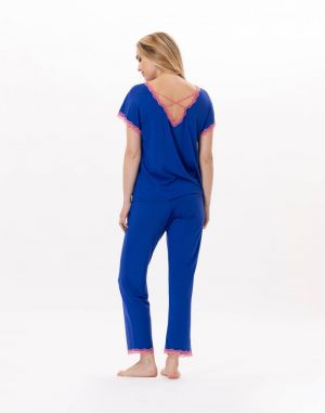 Paloma 902 Bleu  