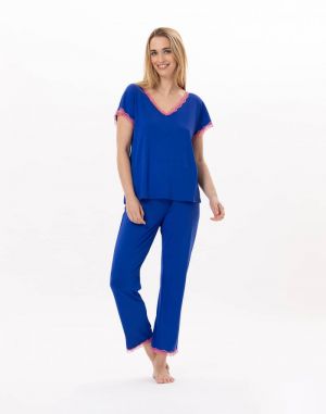 Paloma 902 Bleu  