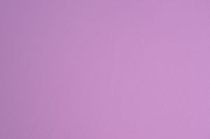 225EILIS E65VIOLET