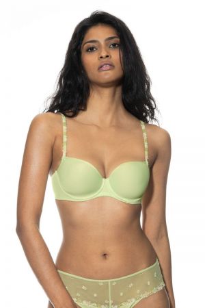  1223 pistachio