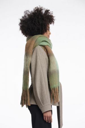 Rita.7002512 Forest mix