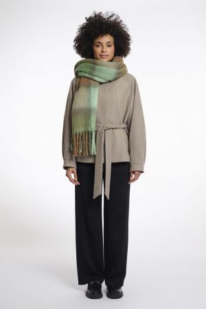 Rita.7002512 Forest mix
