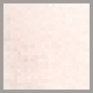 840251 4 rose