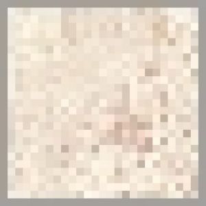 840273 4 rose