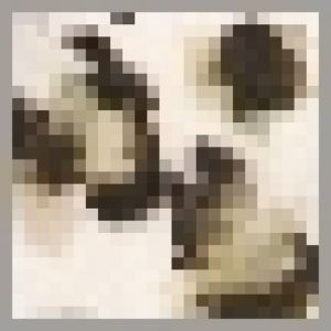 890189 2 beige/kaki
