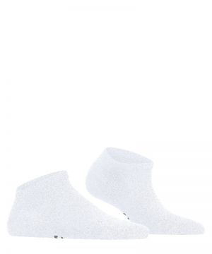 46415 2000 white