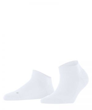 46339 2000 white