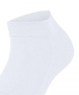 46339 2000 white