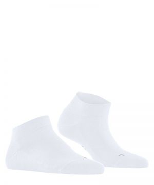 46339 2000 white