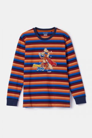 10-PLC-S-252 913 multicolor