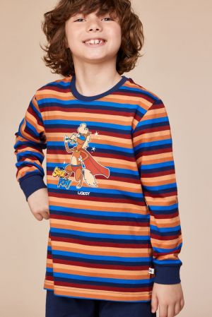 10-PLC-S-252 913 multicolor