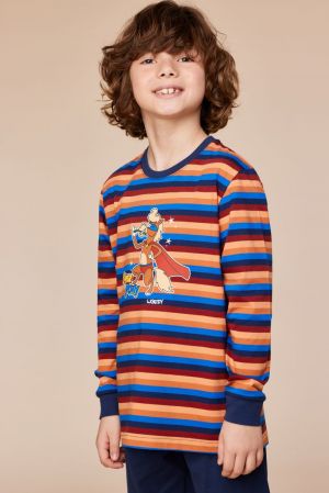 10-PLC-S-252 913 multicolor