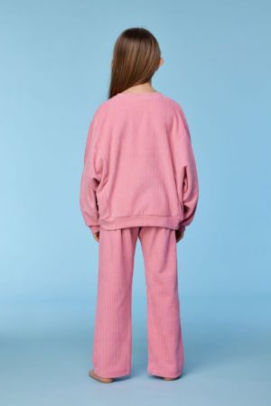 10-WPA-V-252 404 roze