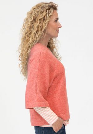  397 tulip melan