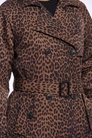 Era.7002621 Leopard