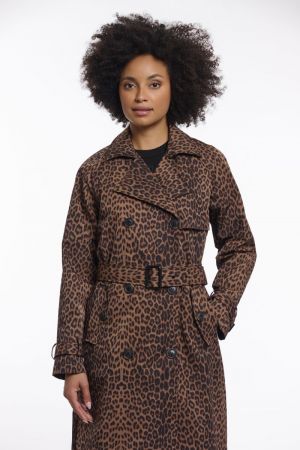 Era.7002621 Leopard