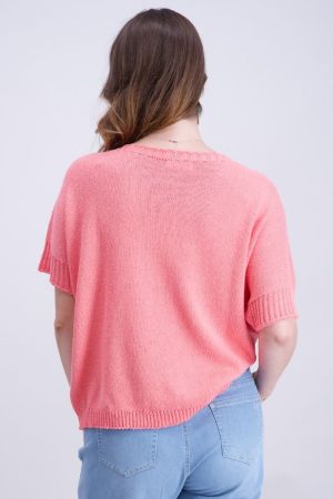 842167 4 Rose