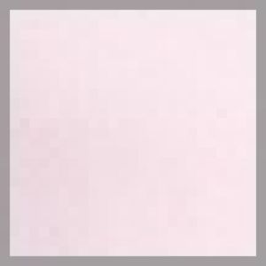 842168 4 rose