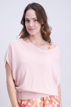 842168 4 rose
