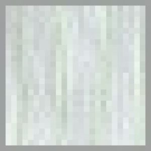 890275 5 vert/vert lim
