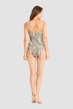 3265048 16572 Zebra