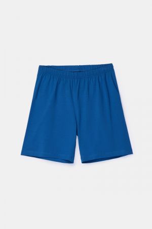 261-10-PSS-Z 837 hoogblauw