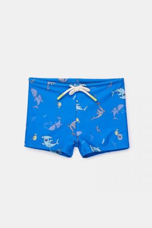 261-10-ZWS-A 931 blauwe haai