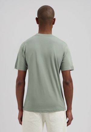 564 Green Shado