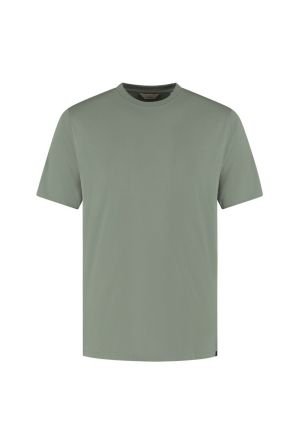  564 Green Shado