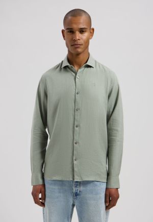  564 Green Shado