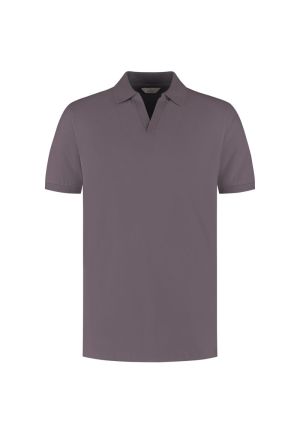  463 Purple Grey