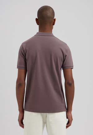  463 Purple Grey