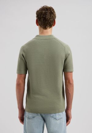  564 Green Shado
