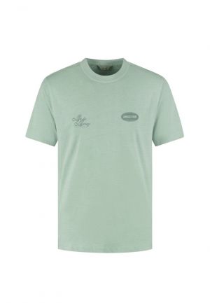  564 Green Shado