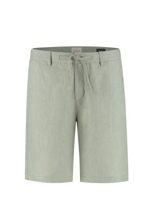  564 Green Shado