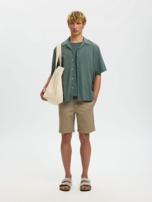 16091381 4954751 Green B
