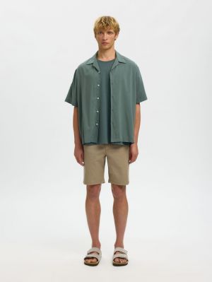 16091381 4954751 Green B