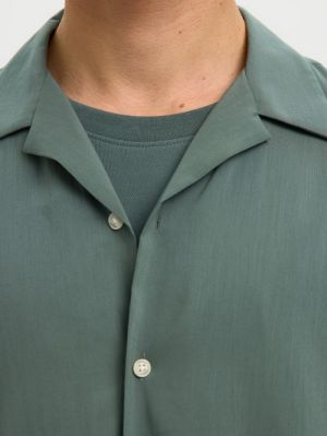 16091381 4954751 Green B