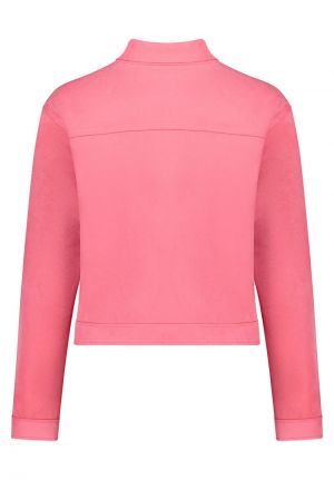4508/3396 4180 Pink Lemon
