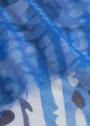61S0013 BLU2-S002