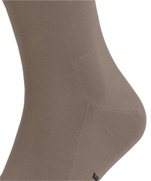 5415 nutmeg
