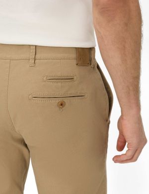07882020 56 CAMEL