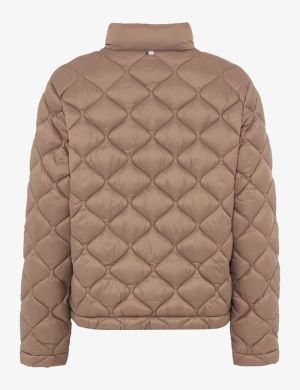 95996140 50 warm greige
