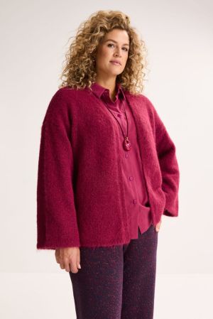  585 RED PLUM