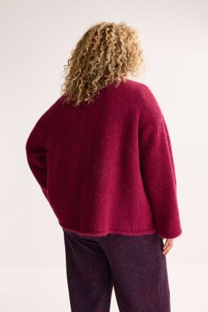  585 RED PLUM