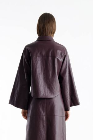  590 AUBERGINE