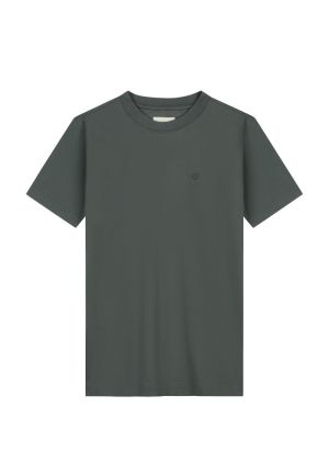  569 Grey Green
