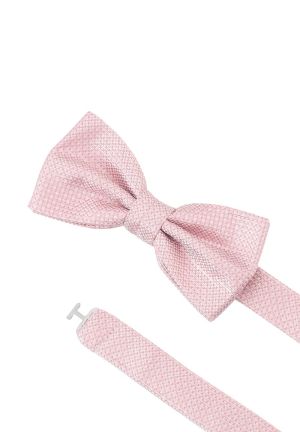 ft88006 FB.4 ROSA